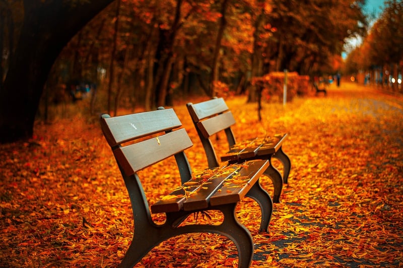 Park Image